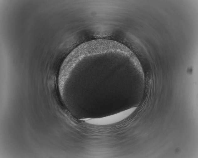 X0000097300227200803141539