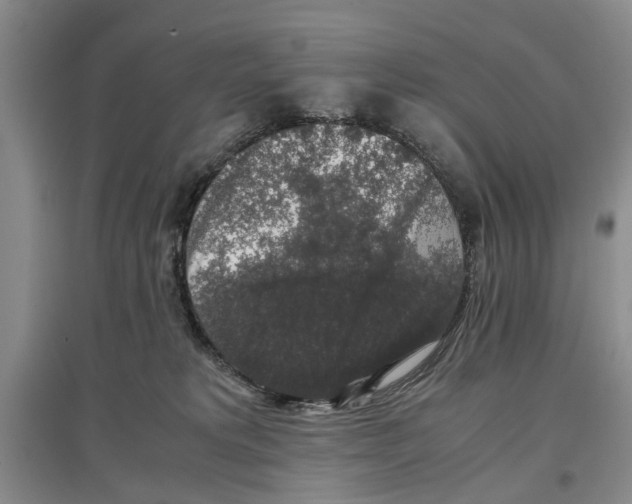 X0000097300229200803141539