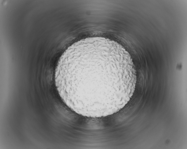 X0000097300230200803141539
