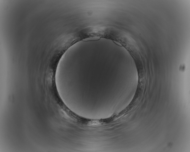 X0000097300231200803141539