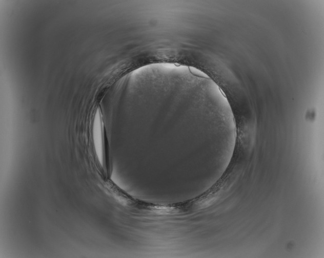 X0000097300233200803141539