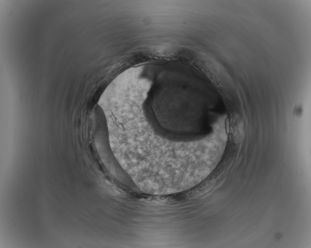X0000097300235200803141539