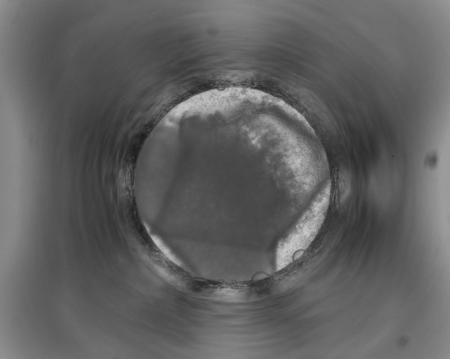 X0000097300236200803141539