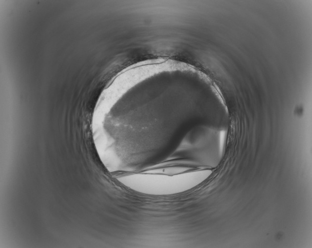 X0000097300237200803141539