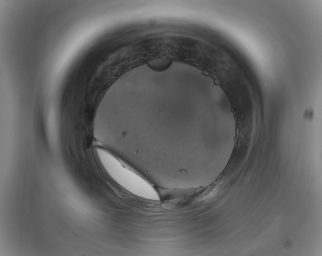 X0000097300239200803141539