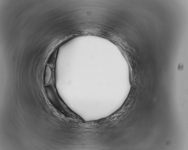 X0000097300241200803141538
