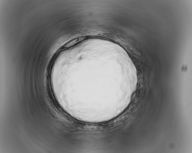 X0000097300242200803141539