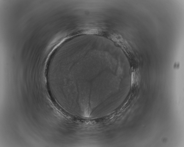 X0000097300243200803141539