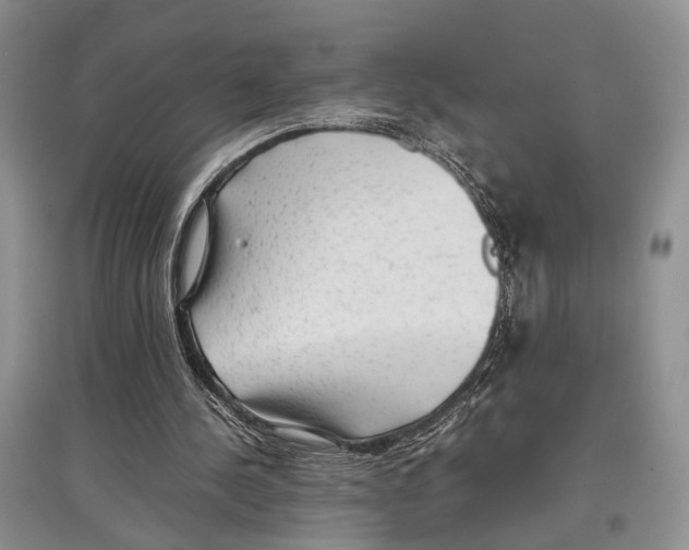X0000097300244200803141539