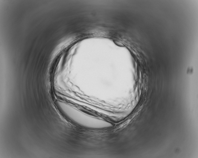 X0000097300245200803141539