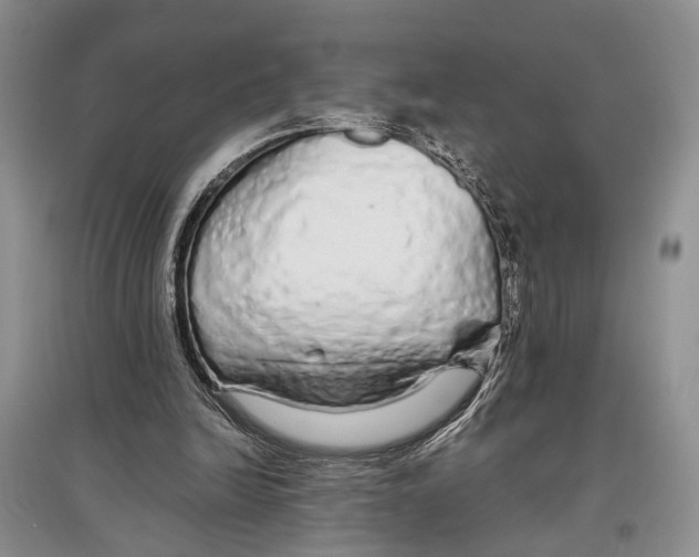 X0000097300246200803141539