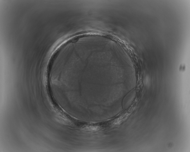 X0000097300247200803141539