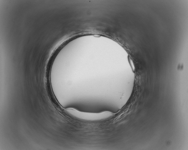 X0000097300248200803141539