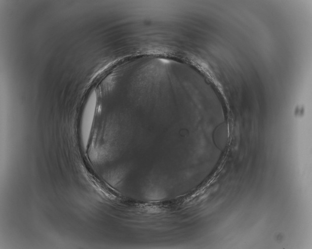 X0000097300249200803141539