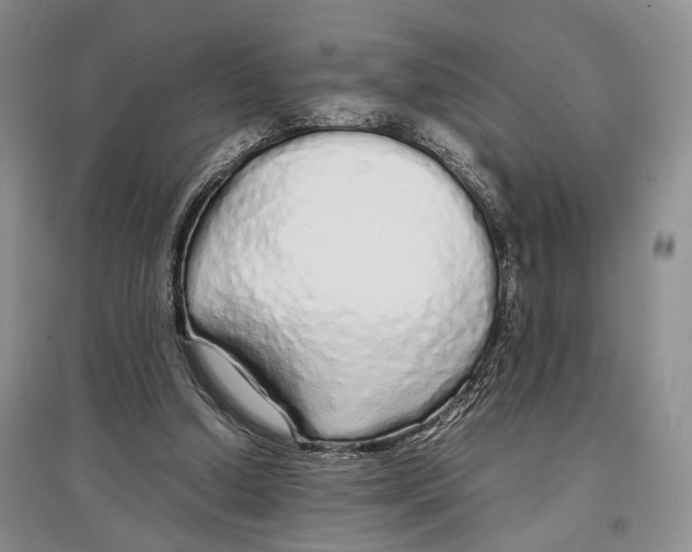 X0000097300250200803141539