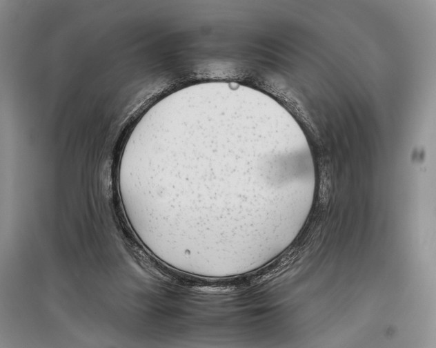 X0000097300251200803141539