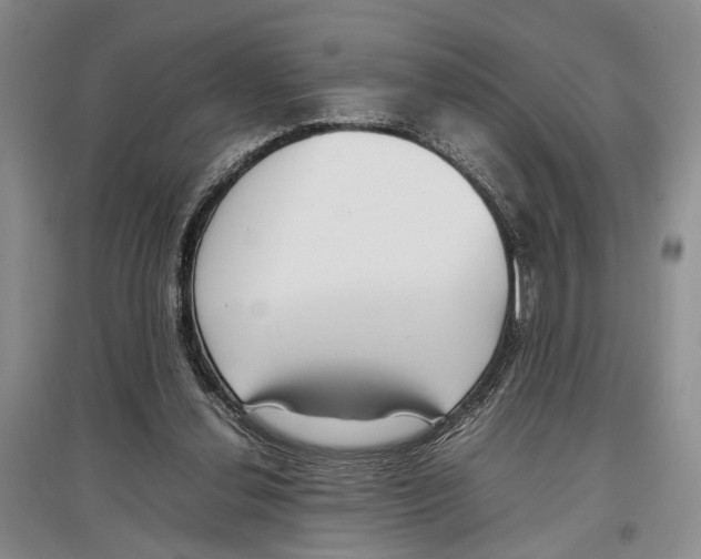 X0000097300252200803141539