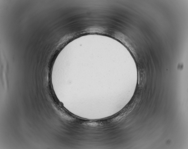 X0000097300253200803141539