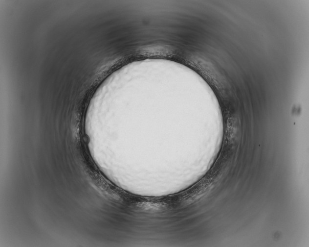 X0000097300255200803141539