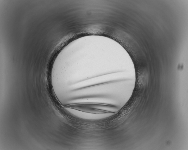 X0000097300256200803141539