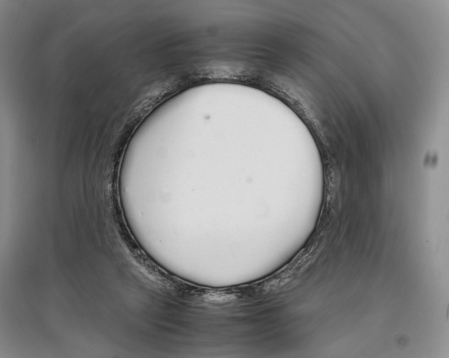 X0000097300257200803141539