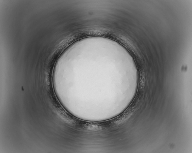 X0000097300258200803141539