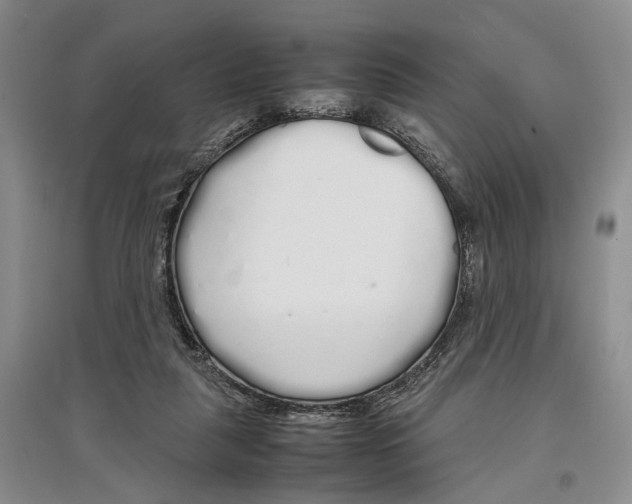 X0000097300259200803141539