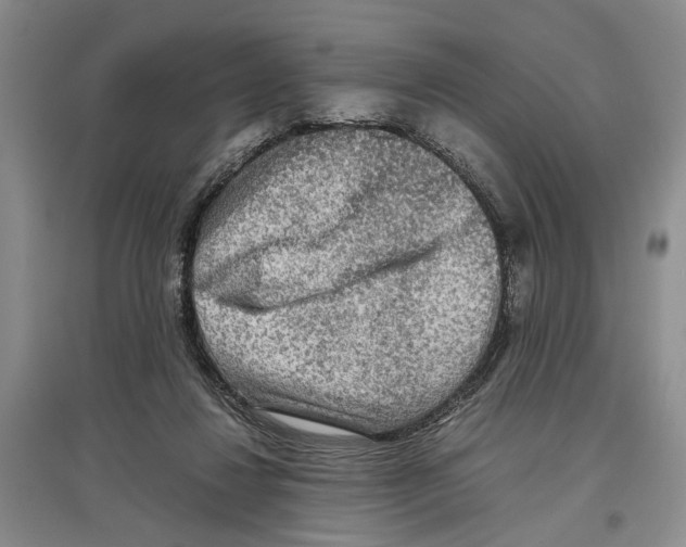 X0000097300260200803141539