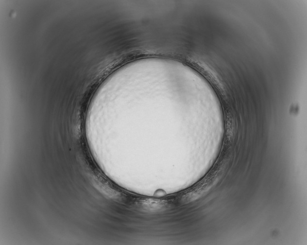 X0000097300261200803141539