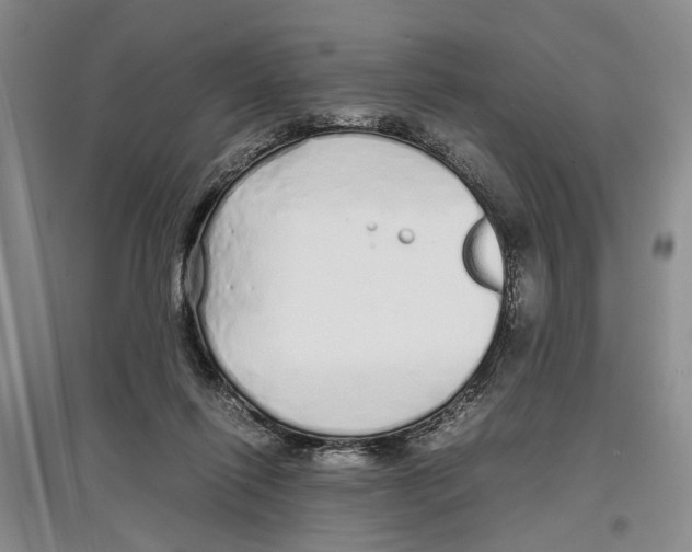 X0000097300262200803141539