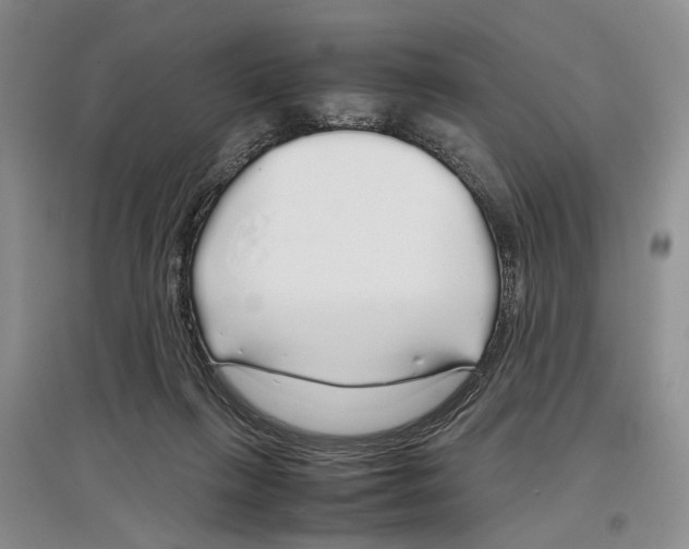 X0000097300263200803141539