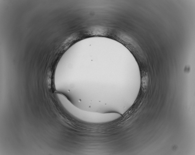 X0000097300264200803141539