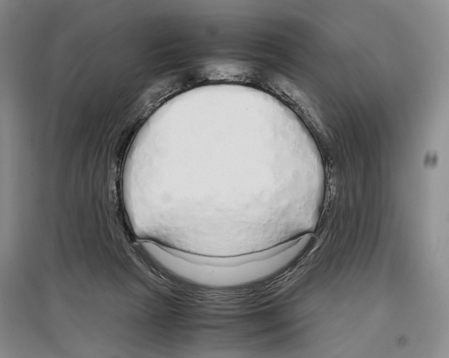 X0000097300265200803141539