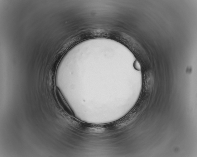 X0000097300266200803141539