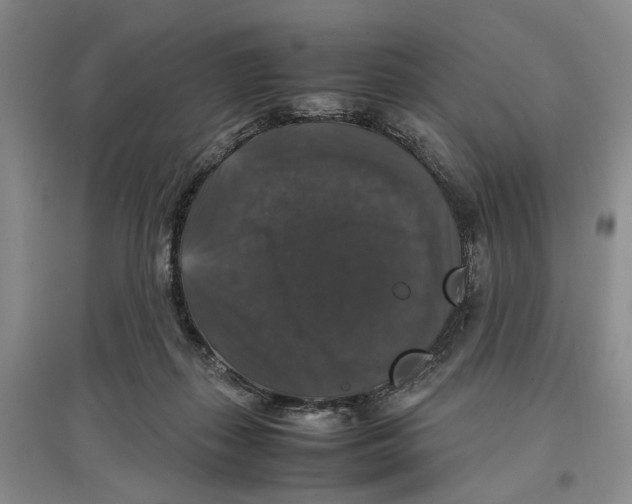 X0000097300267200803141539