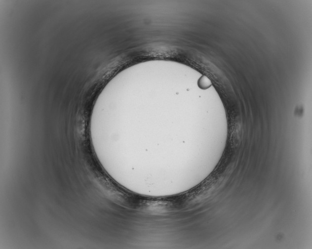 X0000097300268200803141539