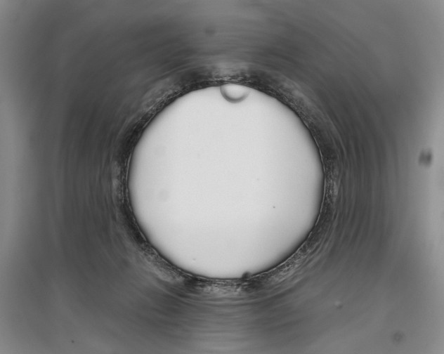 X0000097300270200803141539
