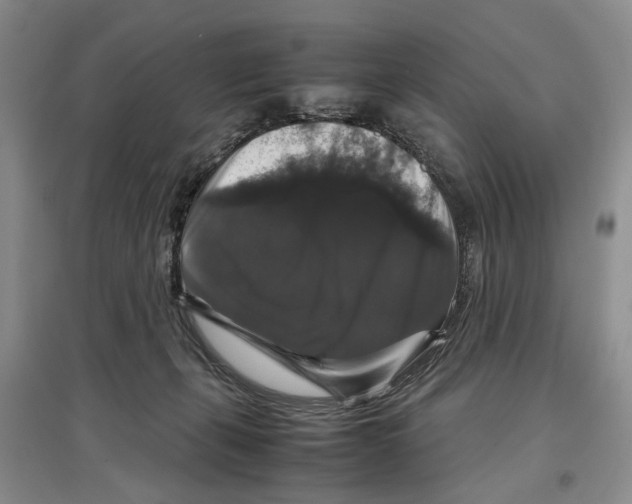 X0000097300271200803141539
