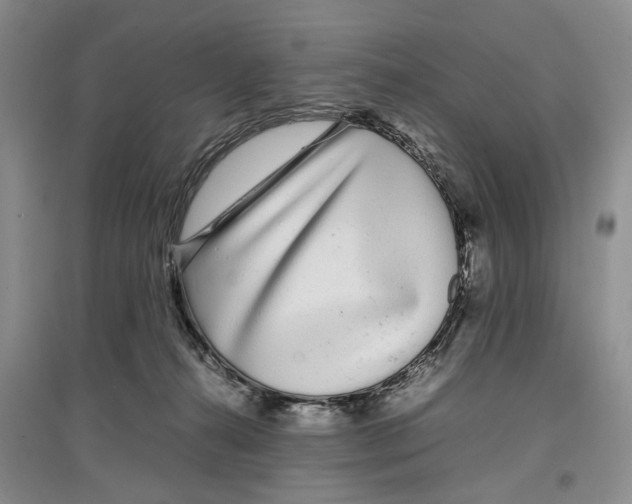 X0000097300272200803141539