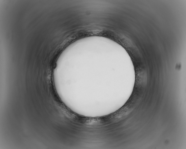 X0000097300274200803141539