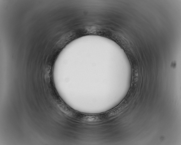 X0000097300275200803141539