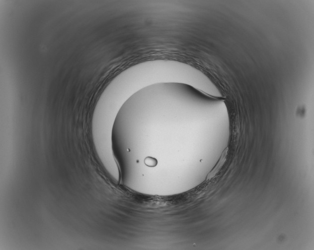X0000097300276200803141539