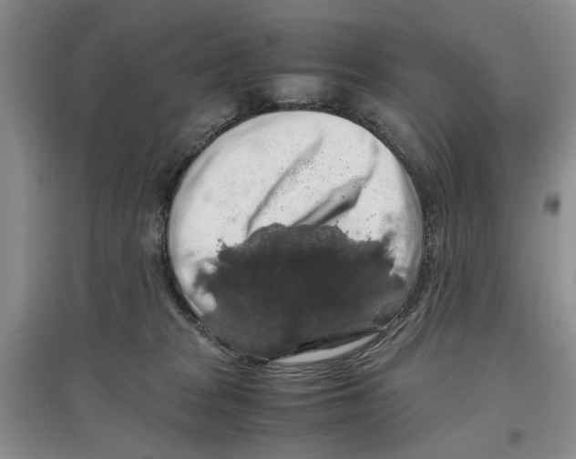 X0000097300277200803141539