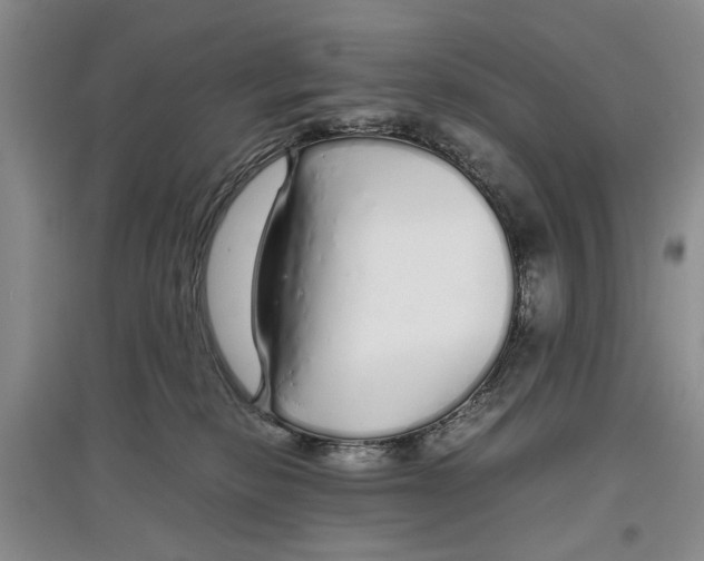 X0000097300278200803141539