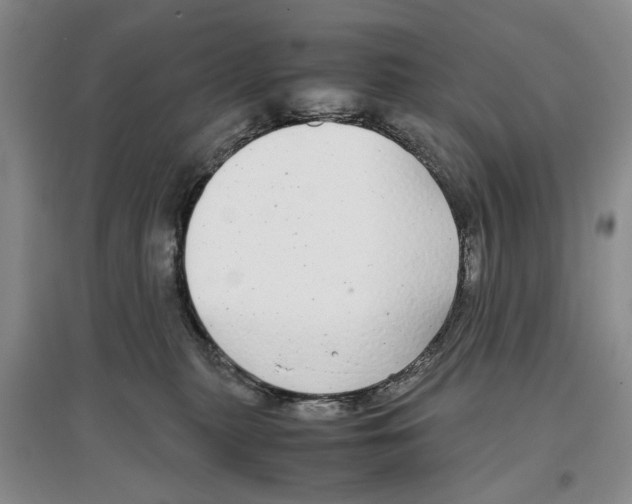 X0000097300279200803141539