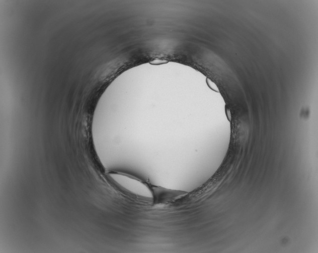 X0000097300280200803141539