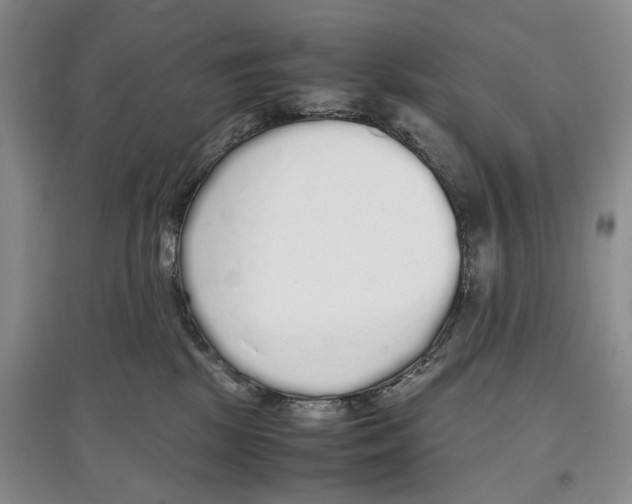 X0000097300281200803141539