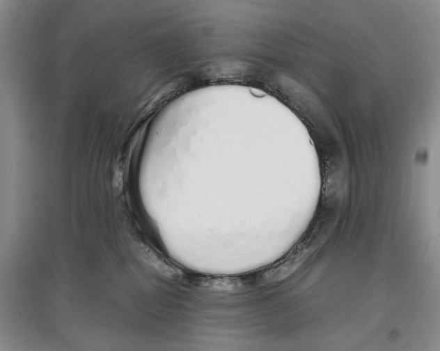 X0000097300282200803141539
