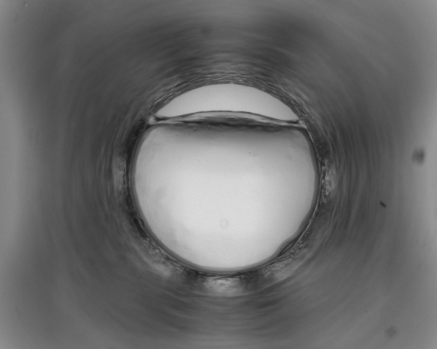 X0000097300283200803141539