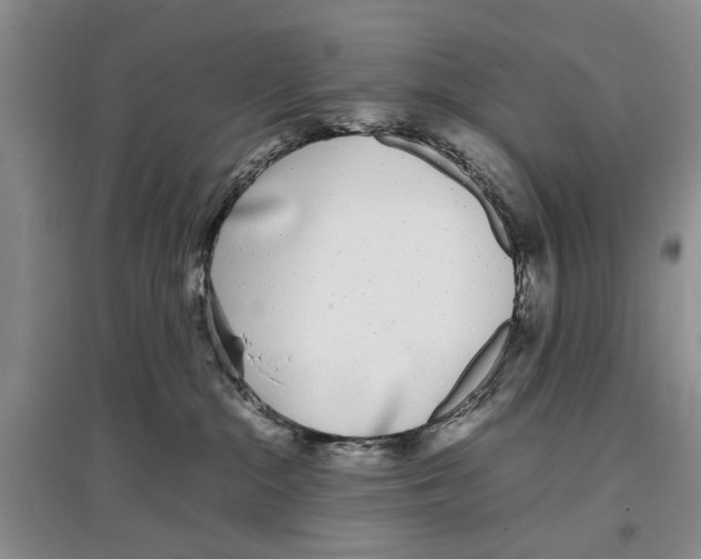 X0000097300284200803141539